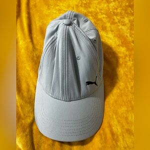 Puma Gray and Black Cap